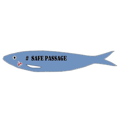 # Safe Passage