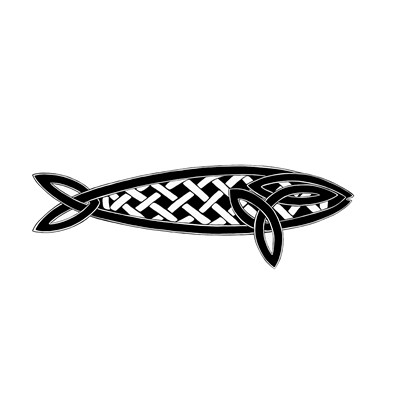 Celtic sardine 