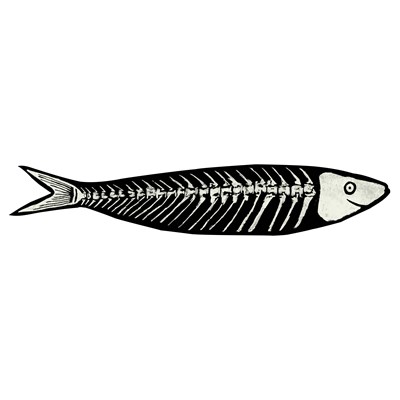Skeleton Sardine