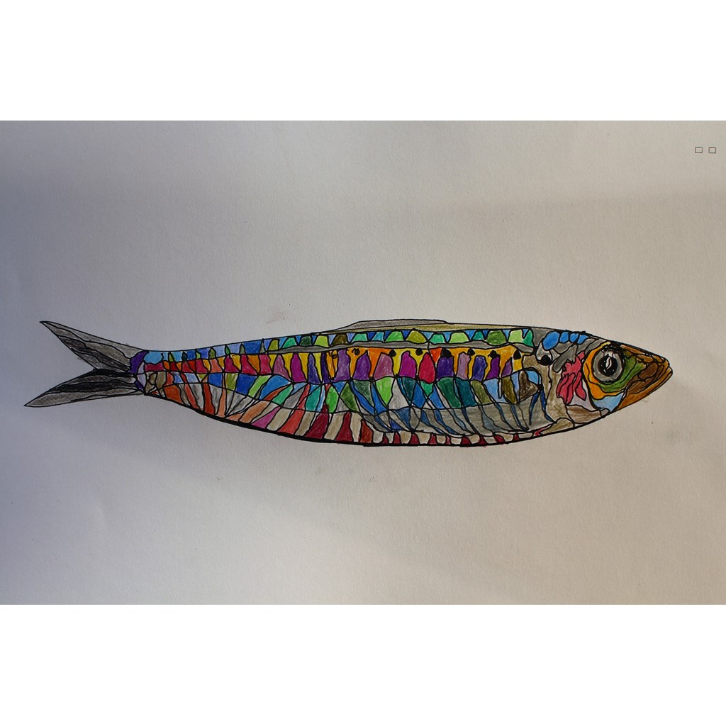 Rainbow-Sardine - Sardine Contest ’23