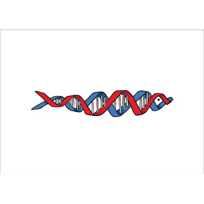 SAR'DNA'