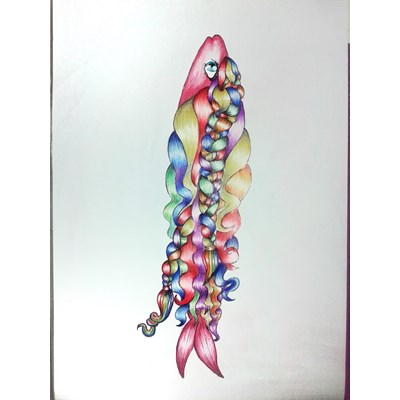 DIY  Colorful braids