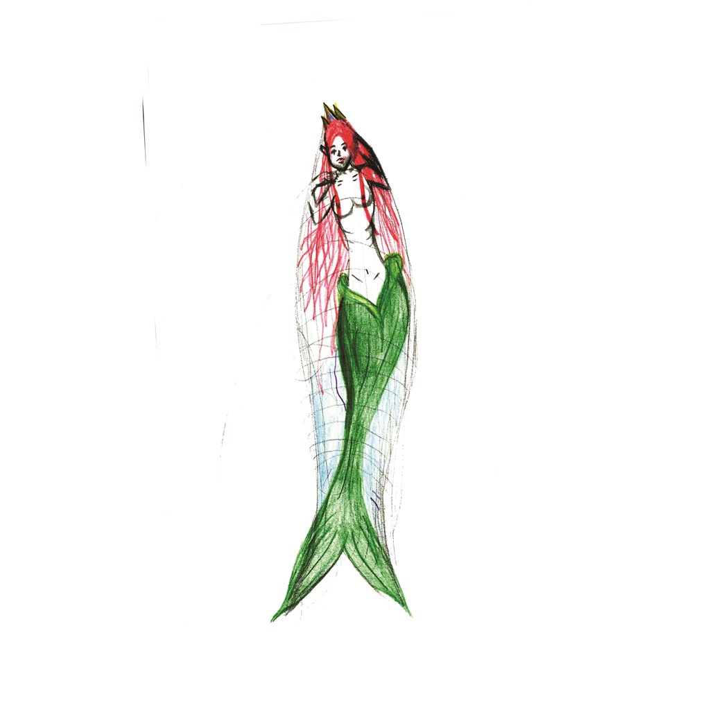 Mermaid - Sardine Contest '24