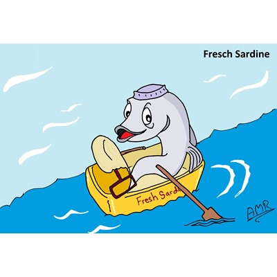 Fresch Sardine
